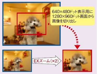 EXズーム